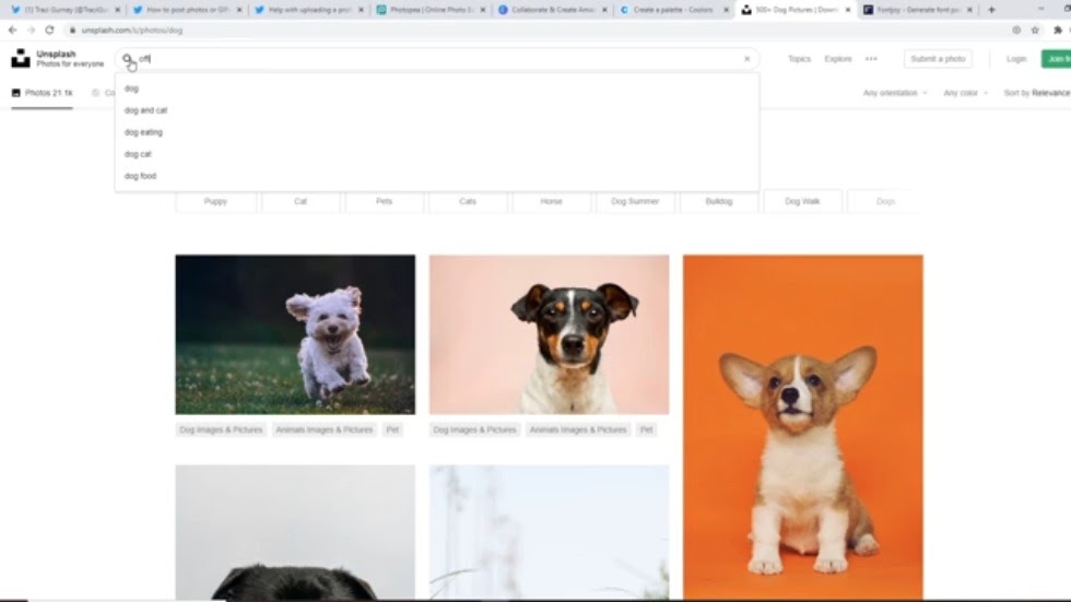 free photo resource