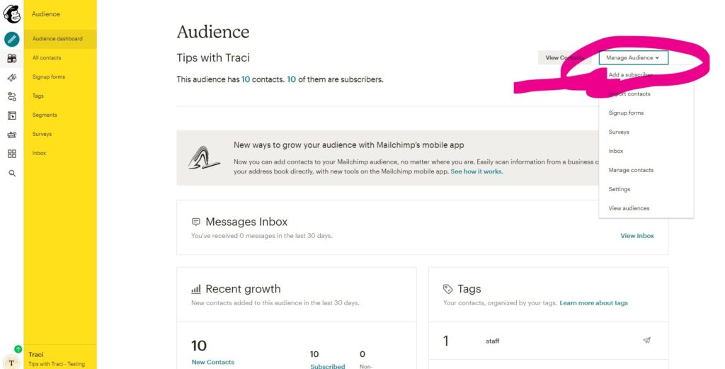 mailchimp add contacts