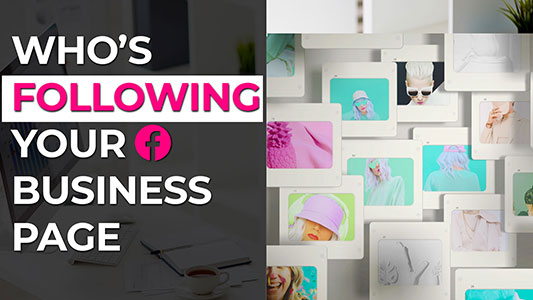 See Followers on Facebook Business Page – Business Suite